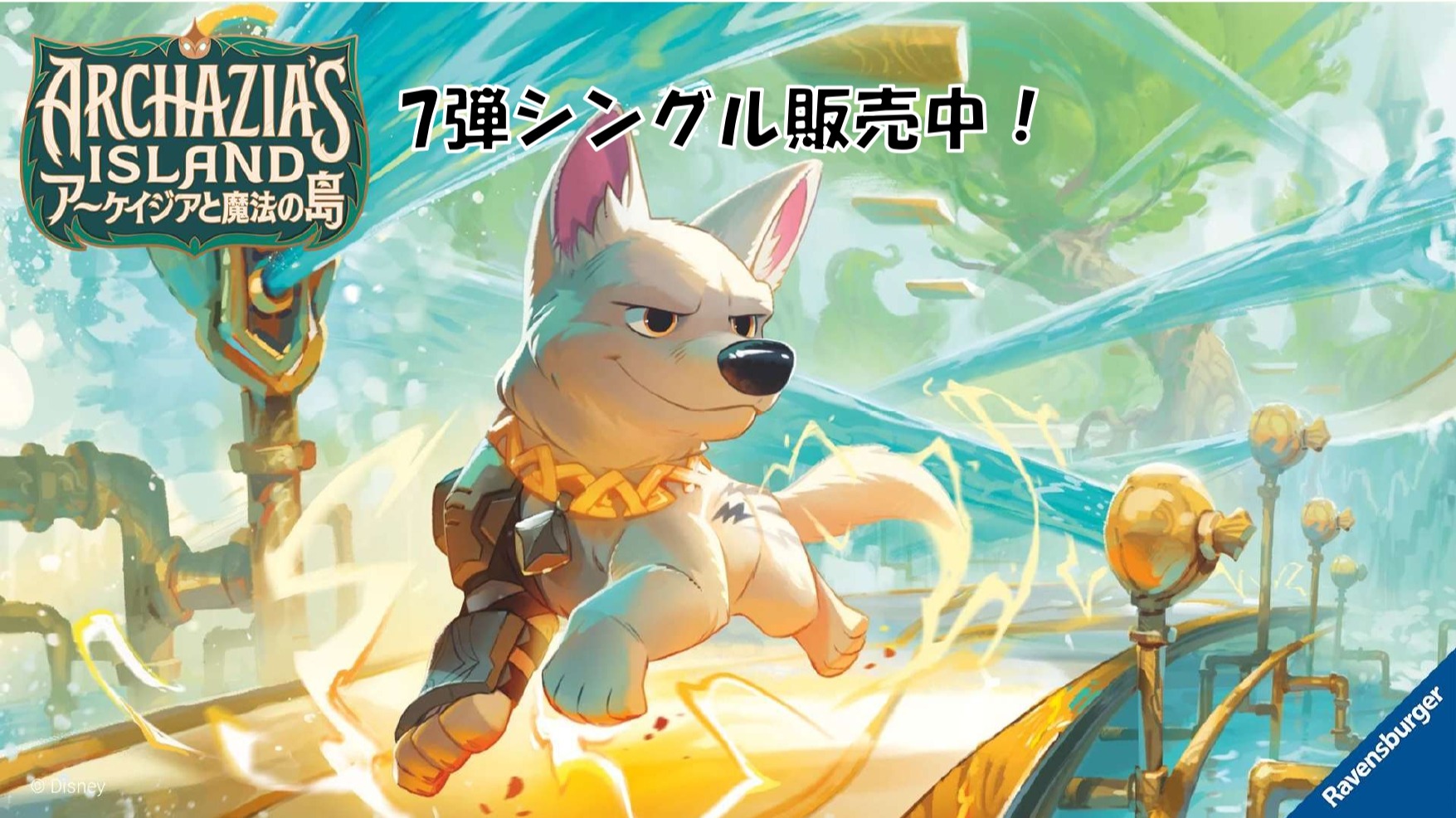 ディズニー・ロルカナ専門店【ロアマスター】